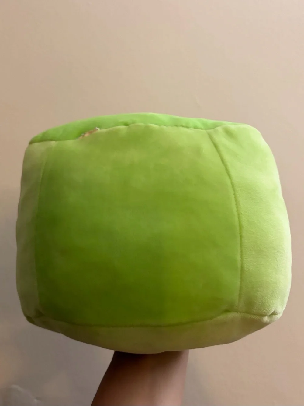 danny the dinosaur squishmallow